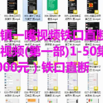 古镇一嘴 八字案例讲解视频1-50集（第一部）