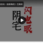 陈春林阴宅闪电眼2023 面授班全程35录像+文档