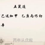 王进武 《2021年11月、斗首择日法视频课程》20集