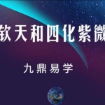 大花钦天和四化紫微斗数视频课