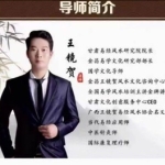 王镜贺太极直断面授班 42集