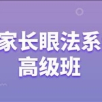 形家仗眼法系统高级学习班 34集