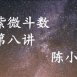 陈小飞钦天门紫微斗数进阶27集