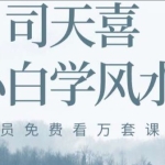 司天喜 生肖神断精华班 17集