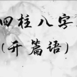 夏光明一天学会四柱八字视频5集10小时