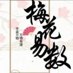 易小生 梅花易数直播课程13集