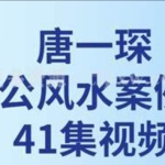唐一琛《杨公风水案例课》41集