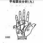 赵洪鹏手相案例70例资料
