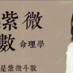 金瑞雪紫薇鬥數（基础+函授+初级+高阶+案列）