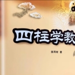 徐炳昕 四柱案例分析课59集